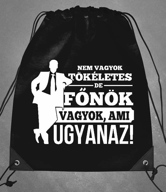 Nem vagyok tökéletes, de Főnök vagyok - Főnök Tornazsák