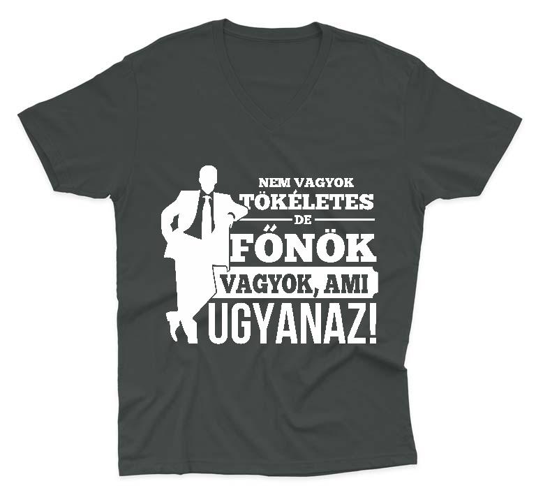 Nem vagyok tökéletes, de Főnök vagyok - Főnök Férfi V-nyakú Póló