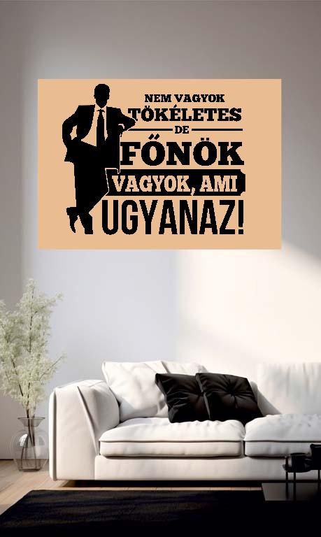 Nem vagyok tökéletes, de Főnök vagyok - Főnök Poszter