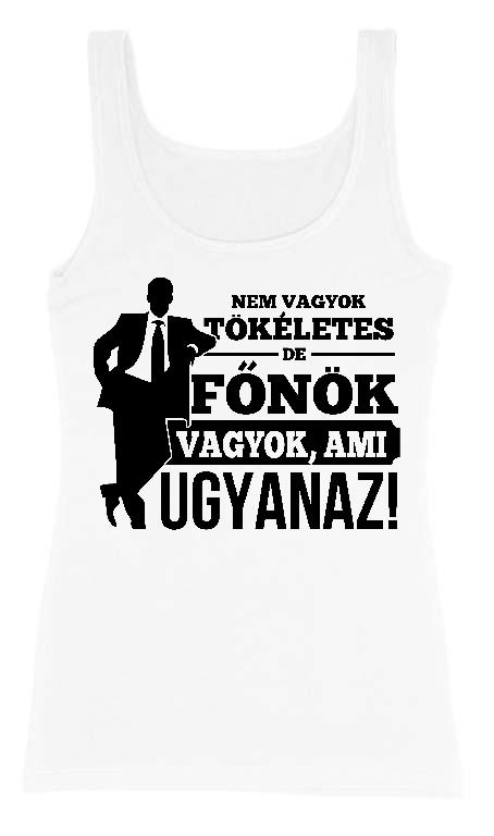 Nem vagyok tökéletes, de Főnök vagyok - Főnök Női Trikó