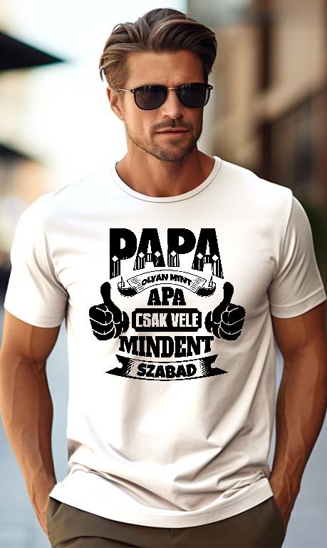 Papa olyan, mint apa - Papa Férfi Prémium Póló