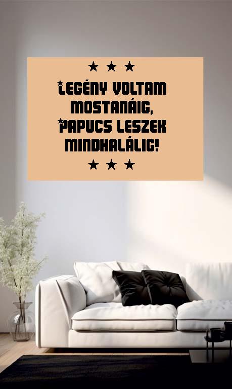 Papucs leszek mindhalálig! Legénybúcsú - Legénybúcsú Poszter