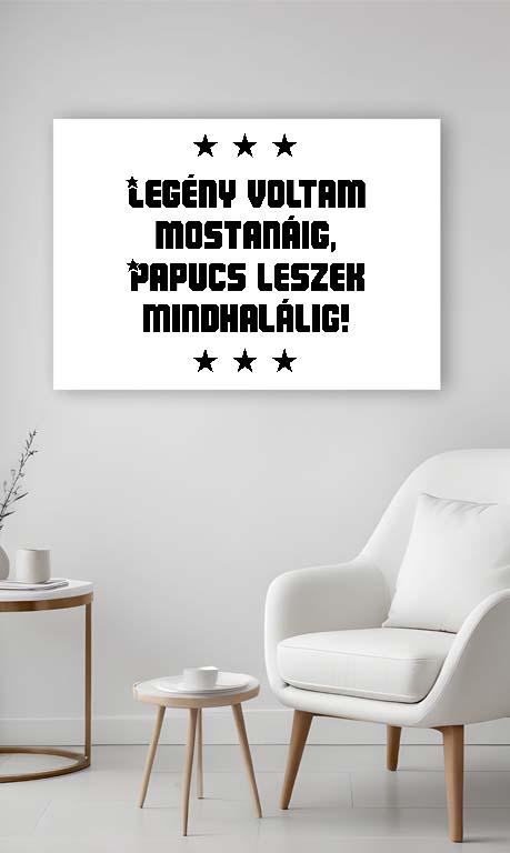 Papucs leszek mindhalálig! Legénybúcsú - Legénybúcsú Vászonkép