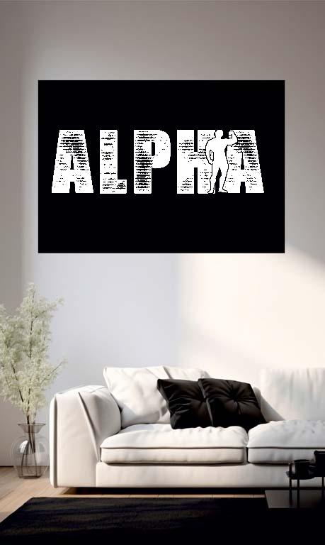 Alpha Fitness - Konditerem, Gym, Fitness Poszter