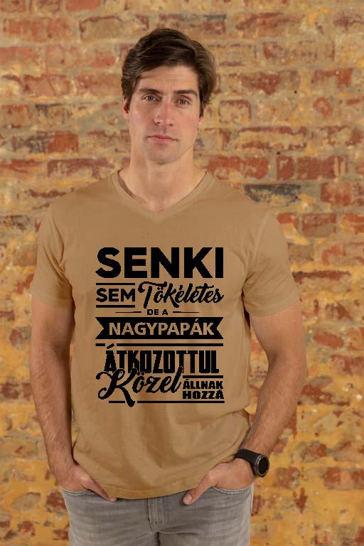 Tökéletes Nagypapa - Papa Férfi V-nyakú Póló