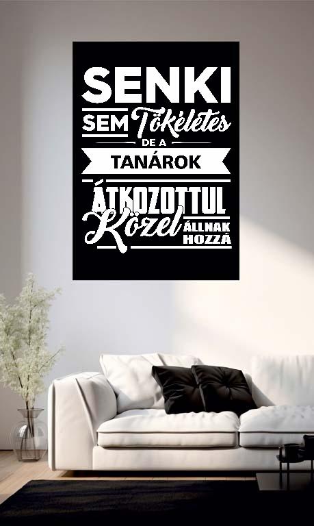 Senki sem tökéletes de a Tanárok - Tanár Poszter