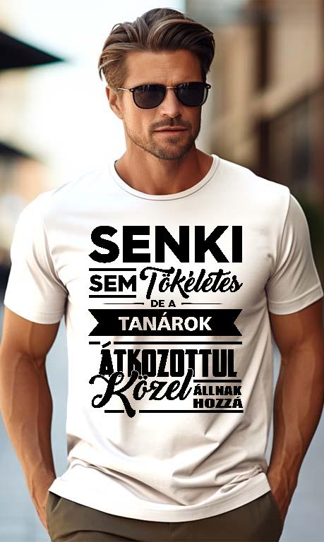 Senki sem tökéletes de a Tanárok - Tanár Férfi Prémium Póló