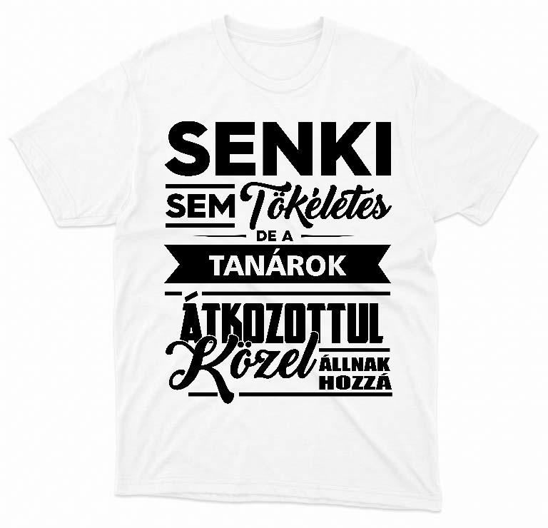 Senki sem tökéletes de a Tanárok - Tanár Férfi Prémium Póló