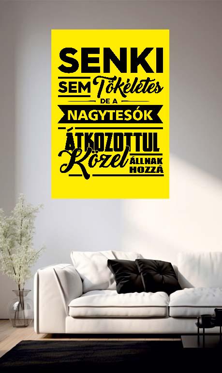 Senki sem tökéletes de a Nagytesók - Testvér Poszter