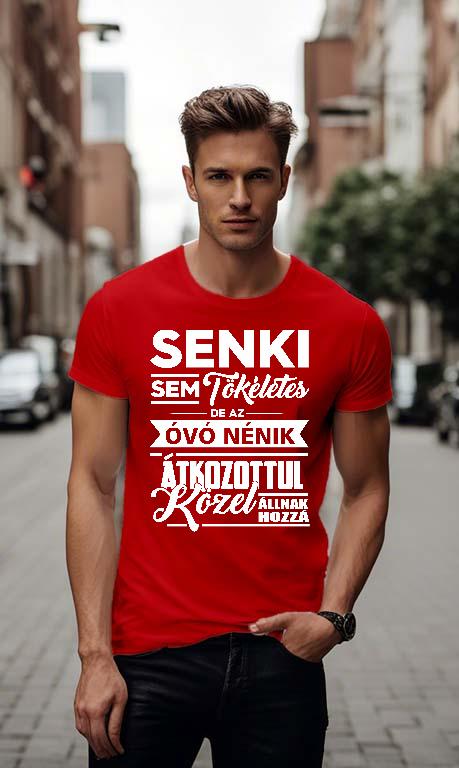 Senki sem Tökéletes de az Óvó Nénik - Óvónő Férfi Környakú Póló