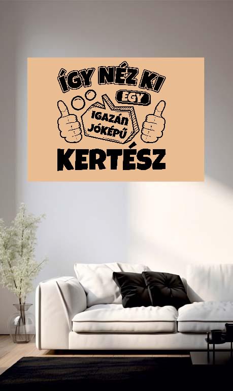 Igazán jóképű Kertész - Kertész Poszter