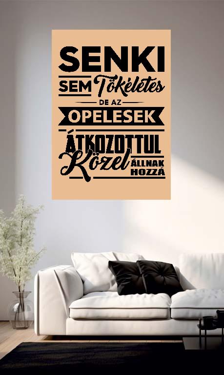 Senki sem Tökéletes de a Opelesek - Opel Poszter