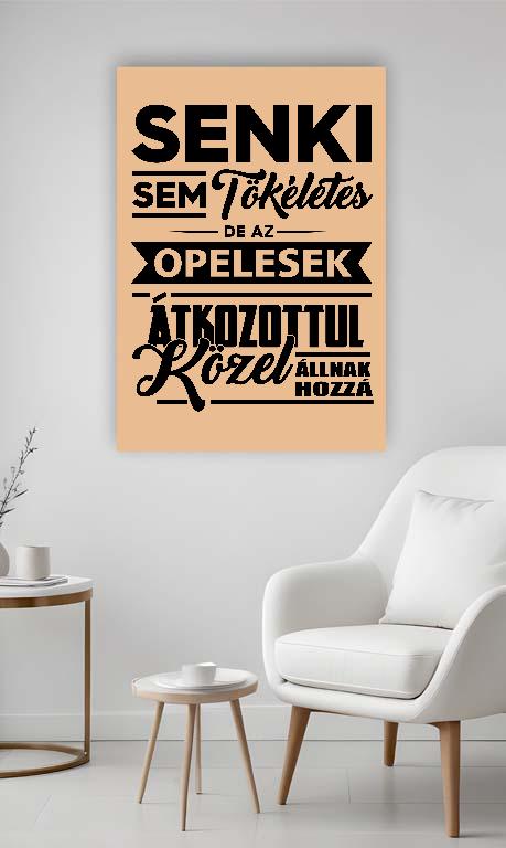 Senki sem Tökéletes de a Opelesek - Opel Vászonkép