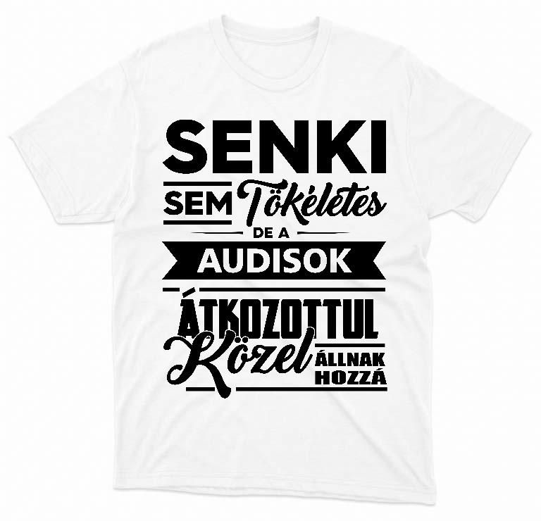 Senki sem Tökéletes, de az Audisok  - Audi A6 Férfi Környakú Póló