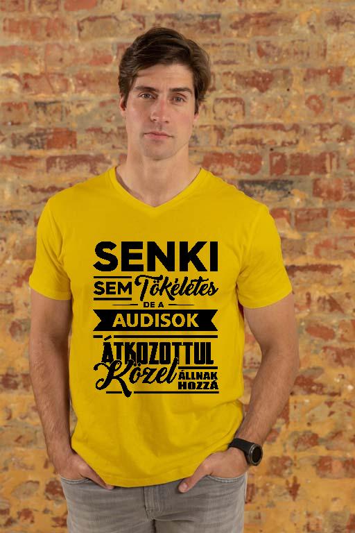 Senki sem Tökéletes, de az Audisok  - Audi A6 Férfi V-nyakú Póló