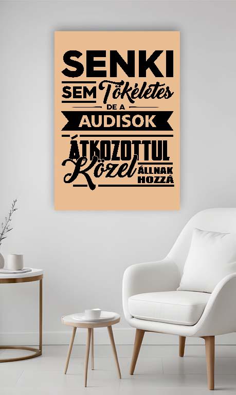 Senki sem Tökéletes, de az Audisok  - Audi A6 Vászonkép