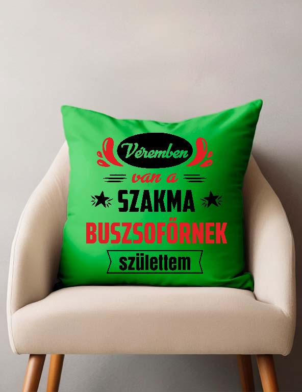 Véremben van a szakma Buszsofőr - Buszsofőr Párnahuzat