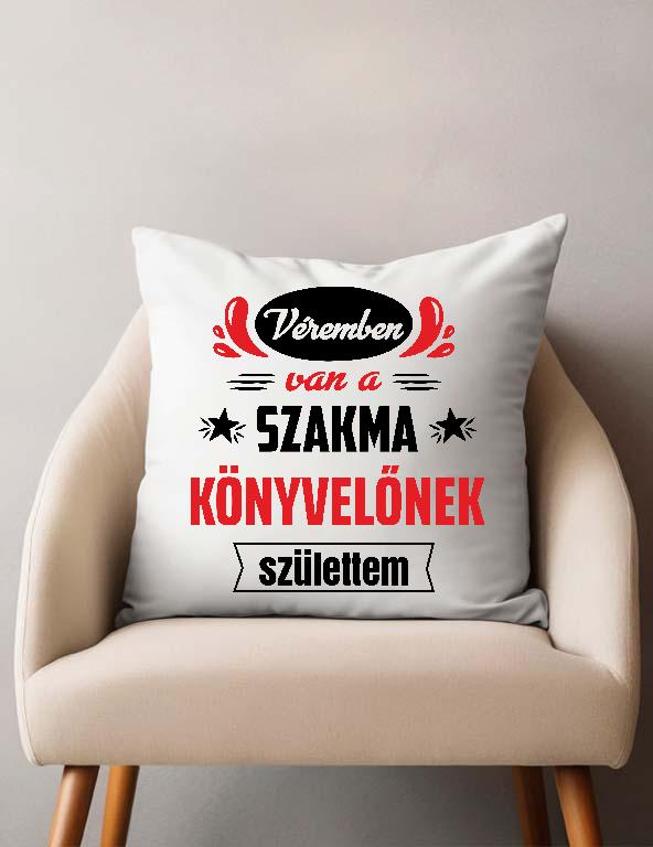 Véremben van a szakma Könyvelő - Könyvelő Párnahuzat