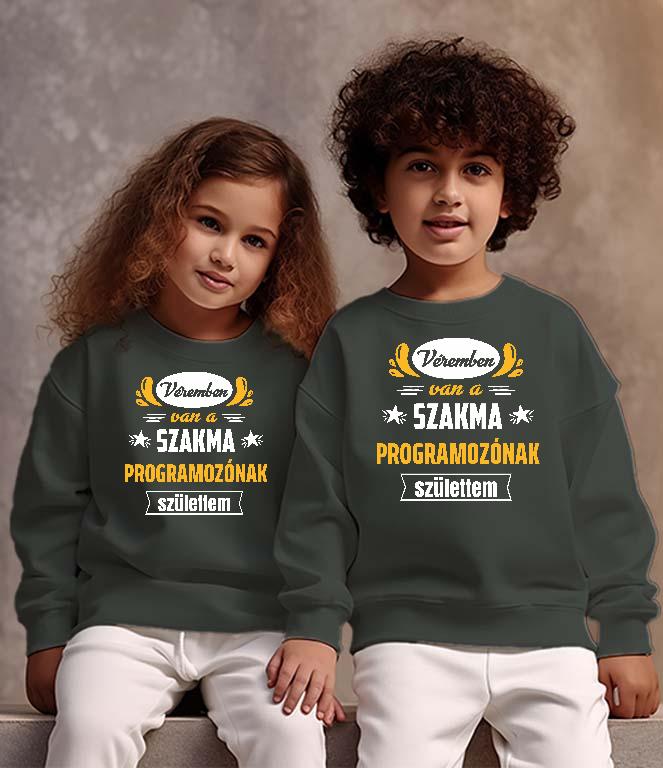 Véremben van a szakma Programozó - Programozó Gyerek Pulóver