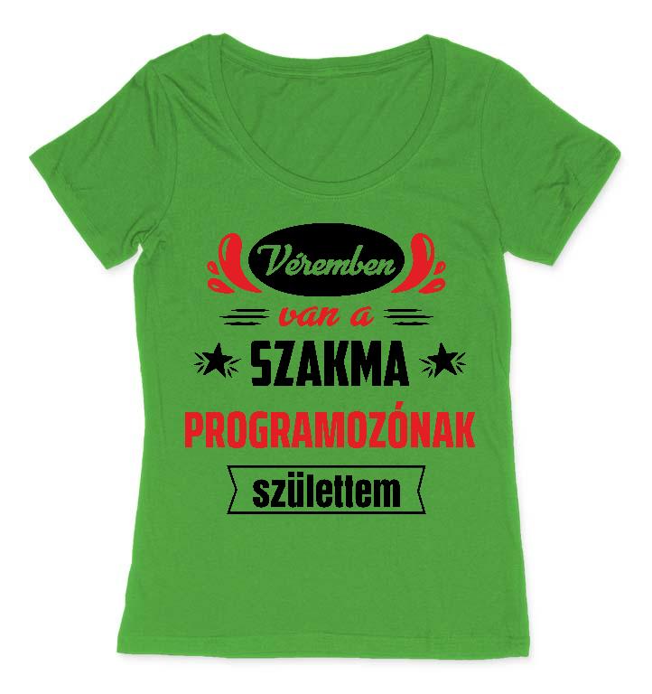 Véremben van a szakma Programozó - Programozó Női O-nyakú Póló