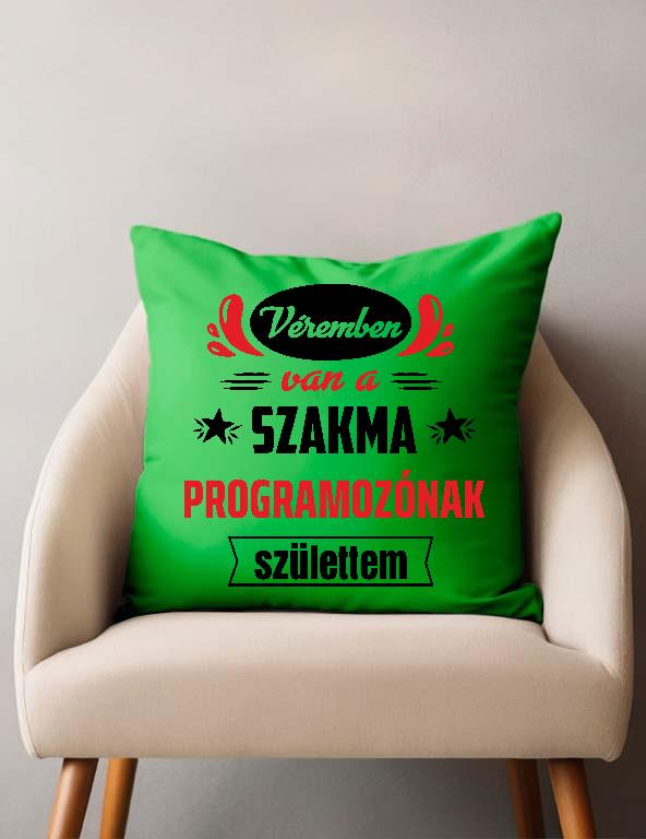 Véremben van a szakma Programozó - Programozó Párnahuzat