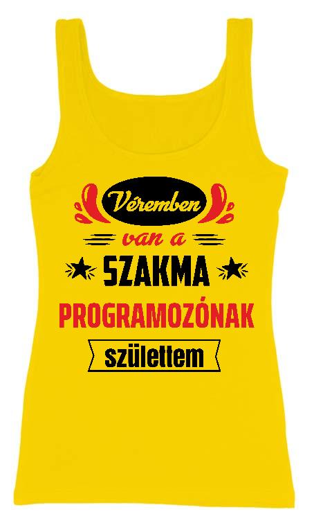 Véremben van a szakma Programozó - Programozó Női Trikó