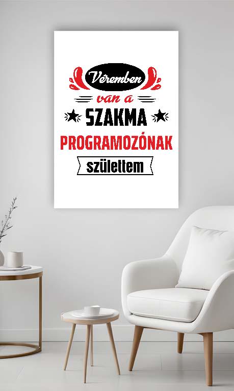 Véremben van a szakma Programozó - Programozó Vászonkép