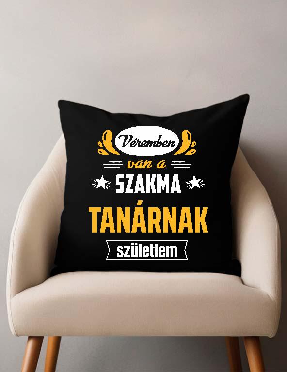 Véremben van a szakma Tanár - Tanár Párnahuzat