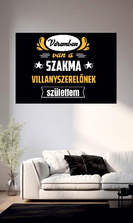 Véremben van a szakma Villanyszerelő - Villanyszerelő Poszter