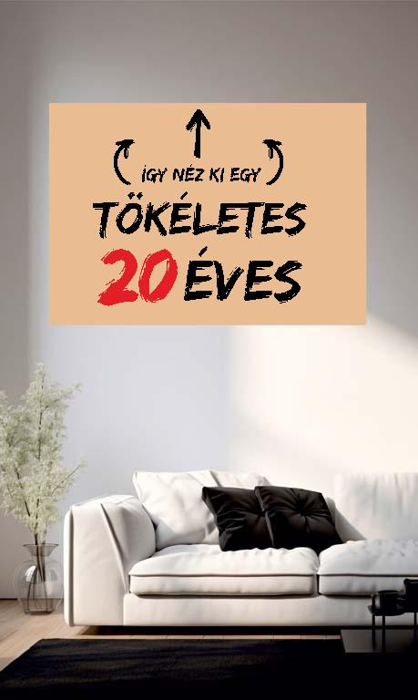 Így néz ki egy tökéletes 20 éves - Évfordulós Poszter