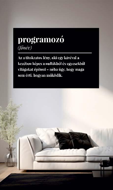 Programozó szakkifejezés - Programozó Poszter