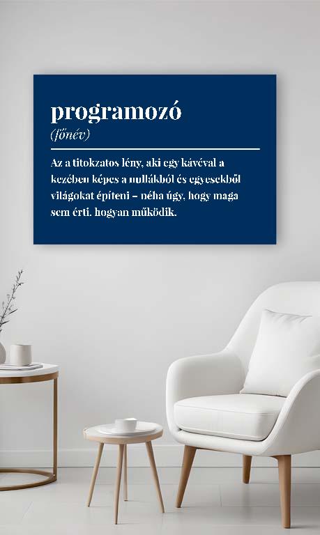 Programozó szakkifejezés - Programozó Vászonkép