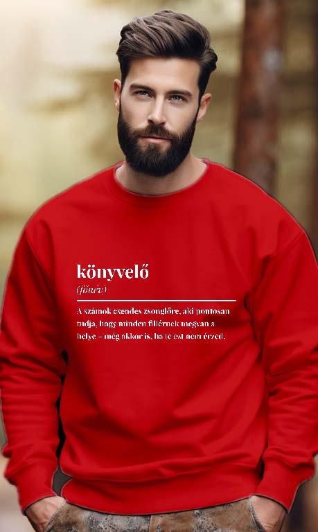 Könyvelő szakkifejezés - Könyvelő Férfi Pulóver