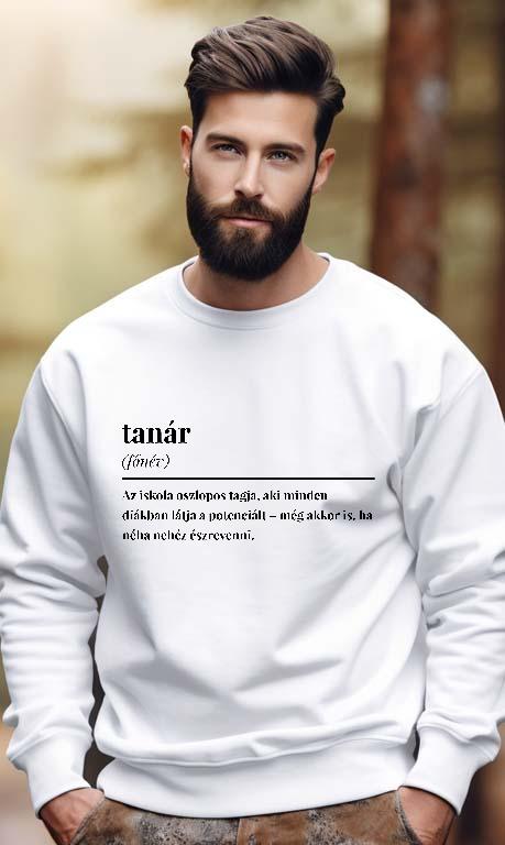 Tanár szakkifejezés - Tanár Férfi Pulóver
