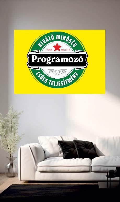 Programozó csúcs teljesítmény - Programozó Poszter