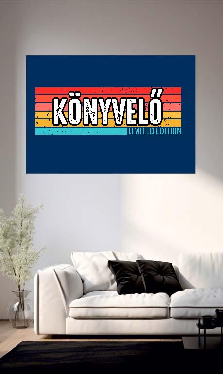 Könyvelő Limited Edition - Könyvelő Poszter