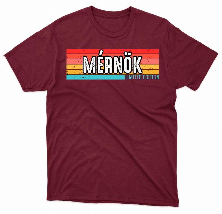 Mérnök Limited Edition - Mérnök Férfi Környakú Póló