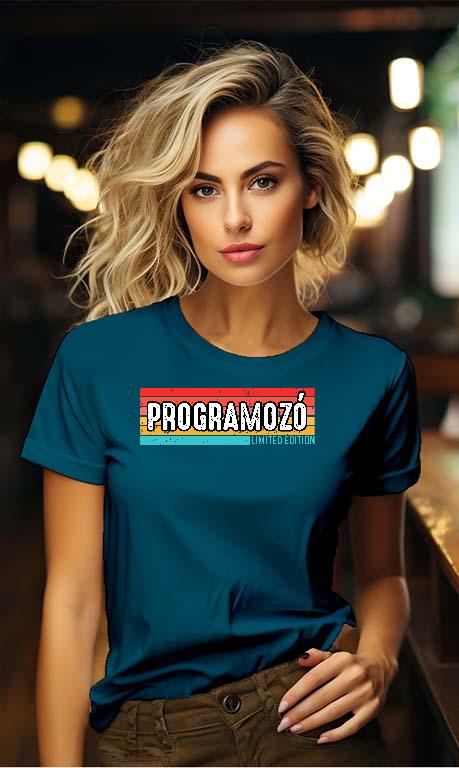 Programozó Limited Edition - Programozó Női Környakú Póló