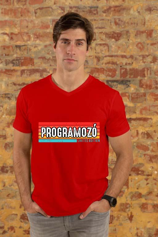 Programozó Limited Edition - Programozó Férfi V-nyakú Póló