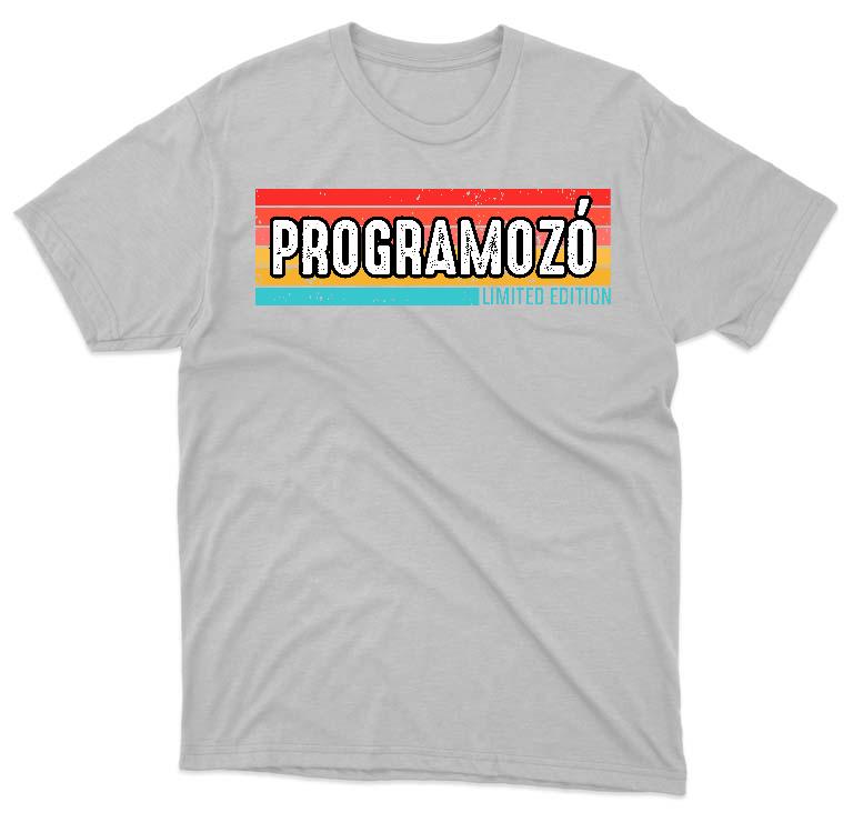 Programozó Limited Edition - Programozó Férfi Környakú Póló