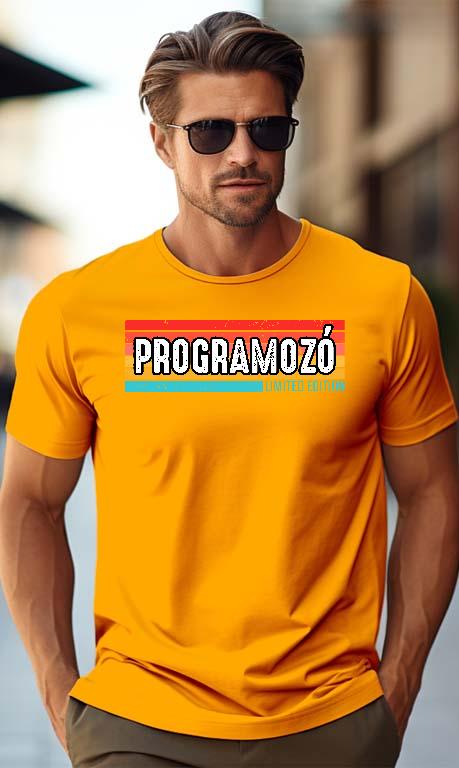 Programozó Limited Edition - Programozó Férfi Prémium Póló