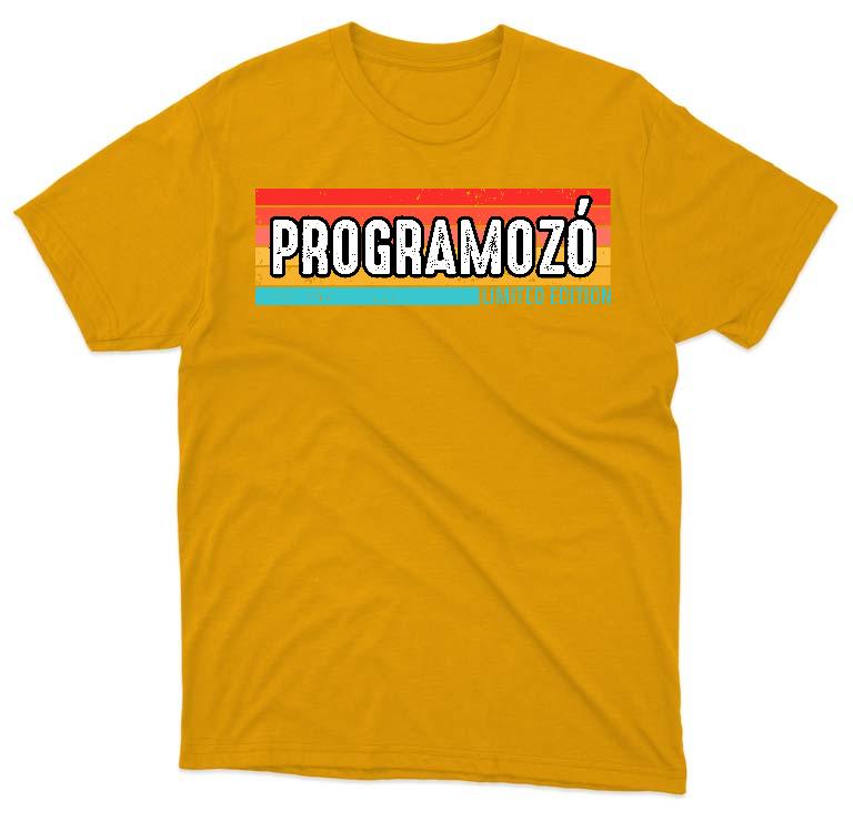 Programozó Limited Edition - Programozó Férfi Prémium Póló