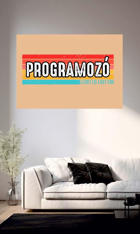 Programozó Limited Edition - Programozó Poszter