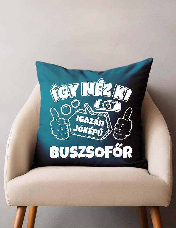 Igazán jóképű Buszsofőr - Buszsofőr Párnahuzat