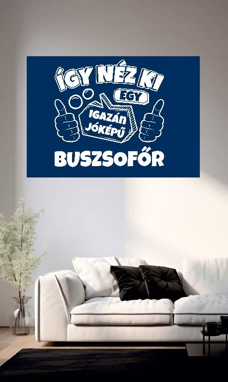 Igazán jóképű Buszsofőr - Buszsofőr Poszter