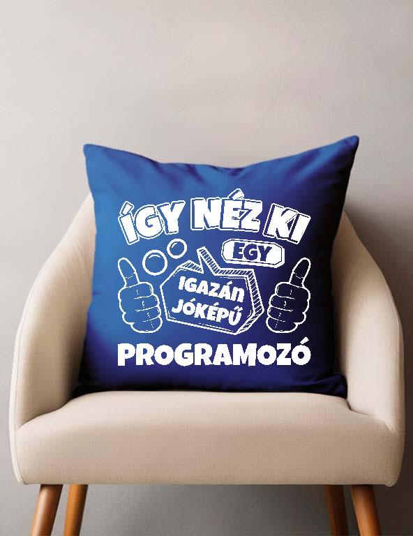 Igazán jóképű Programozó - Programozó Párnahuzat