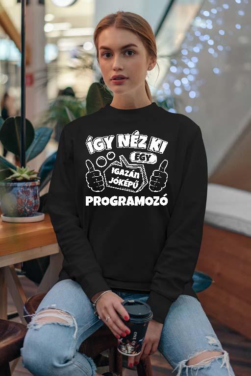 Igazán jóképű Programozó - Programozó Női Pulóver