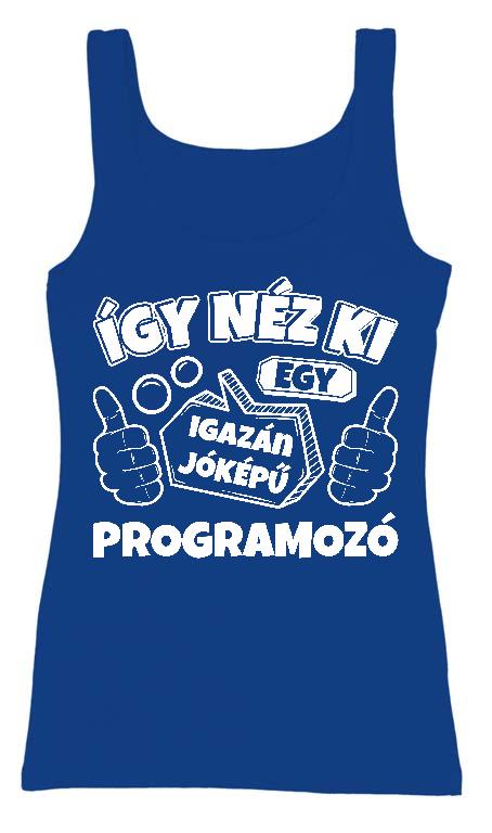 Igazán jóképű Programozó - Programozó Női Trikó