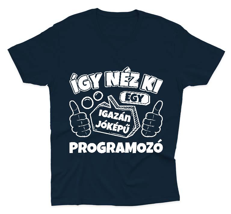 Igazán jóképű Programozó - Programozó Férfi V-nyakú Póló