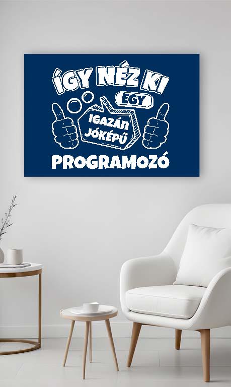 Igazán jóképű Programozó - Programozó Vászonkép